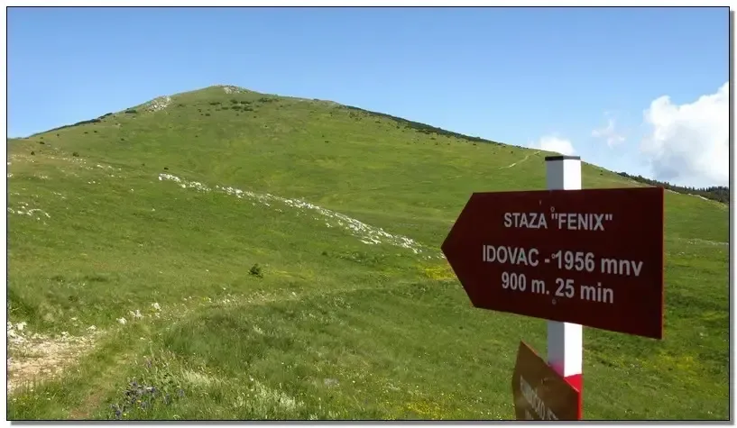 Wegweiser der Staza „Fenix“ Richtung Idovac (1.956 m) auf einer grünen Bergwiese