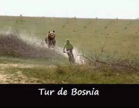 Humorvolles Bild: Ein Bär jagt einen Radfahrer, Bildunterschrift „Tur de Bosnia“